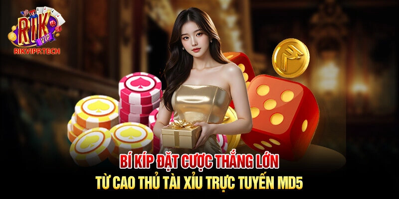 Bí kíp đặt cược thắng lớn từ cao thủ tài xỉu trực tuyến MD5 Bí kíp đặt cược thắng lớn từ cao thủ tài xỉu trực tuyến MD5